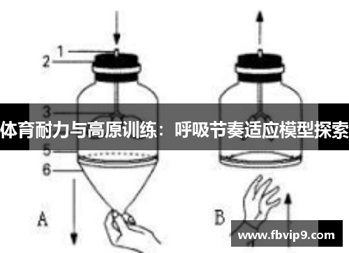体育耐力与高原训练：呼吸节奏适应模型探索